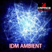 Radio Caprice: IDM Ambient