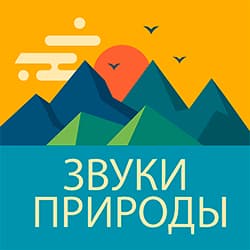Радио Звуки природы
