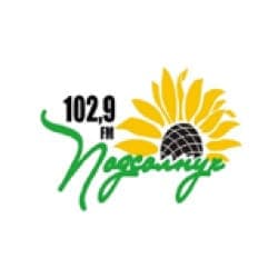 Радио Подсолнух 102.9 FM